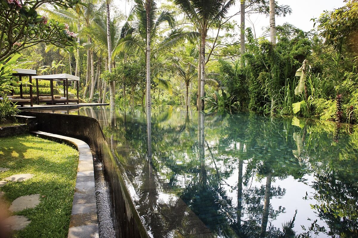 Ein idyllischer Infinity-Pool umgeben von einem üppigen, tropischen Garten mit verschiedenen Grün- und Brauntönen, reflektierendem Wasser und hohen Palmen im Hintergrund. Ein pavillonähnlicher Holzbau ragt am linken Poolrand ins Bild.