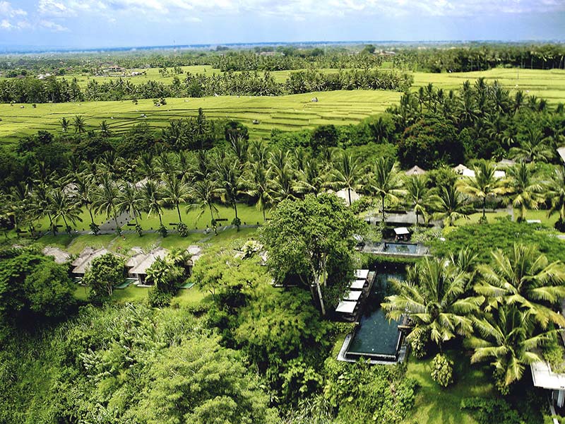 Umgebung des Maya Ubud Resorts Maya Ubud Resort: Umgebung des Maya Ubud Resorts