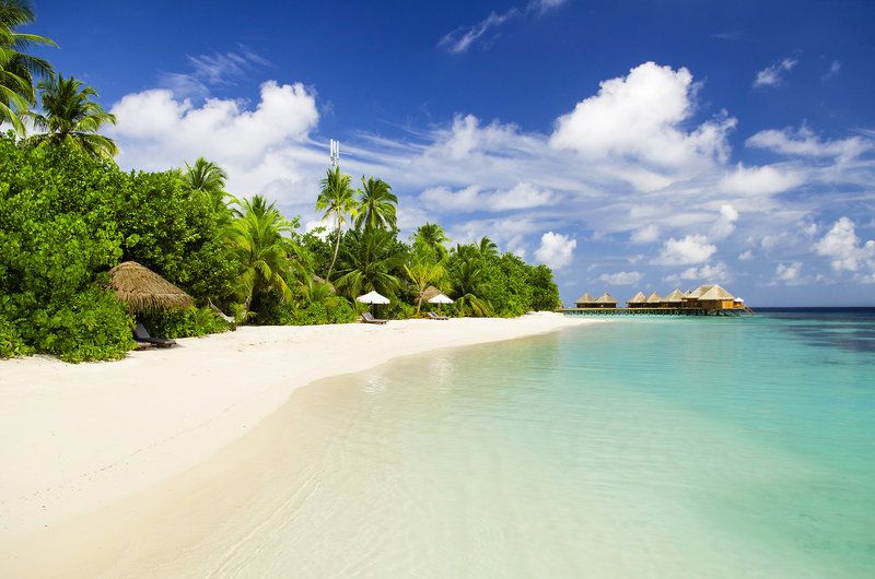 Mirihi Island Resort: Strandbereich vom Mirihi Island Resort