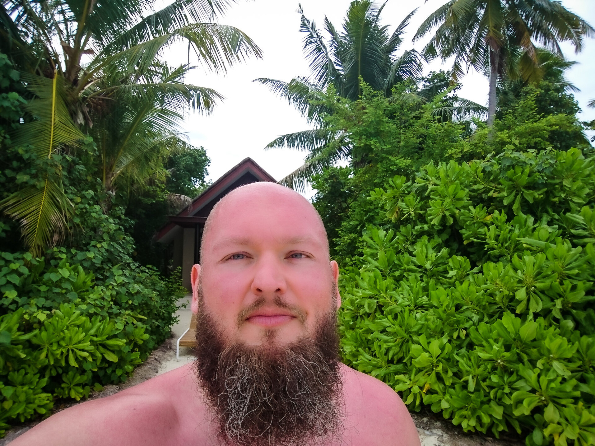 Markus Patho im Niyama Ein Mann mit Glatze und Vollbart nimmt ein Selfie vor tropischer Kulisse mit grüner Vegetation und einer Hütte im Hintergrund.