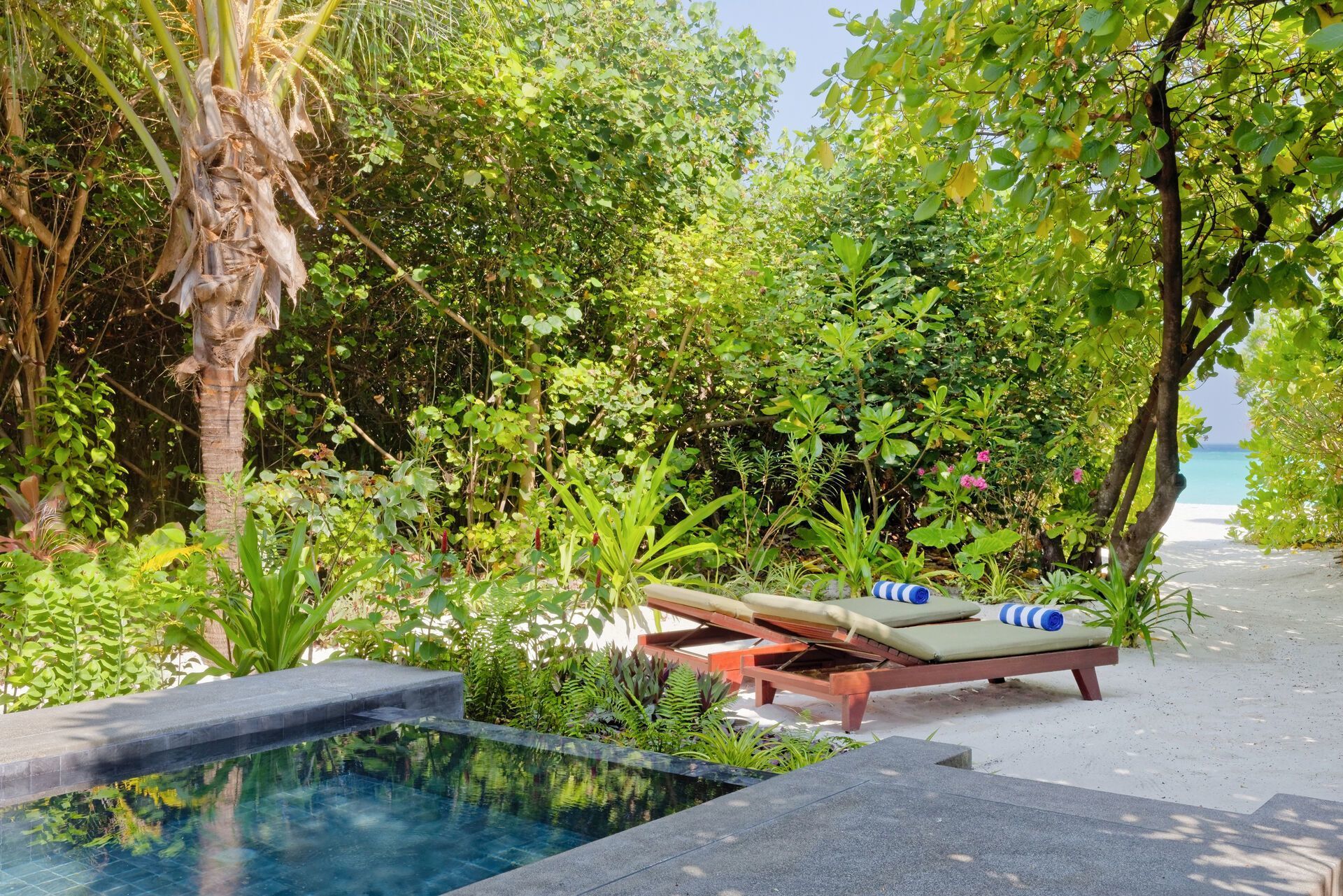 Ein entspannender Außenbereich mit einem kleinen privaten Pool umgeben von üppiger tropischer Vegetation. Zwei Sonnenliegen stehen bereit neben einem Weg, der zum strahlend blauen Wasser eines Strandes führt.