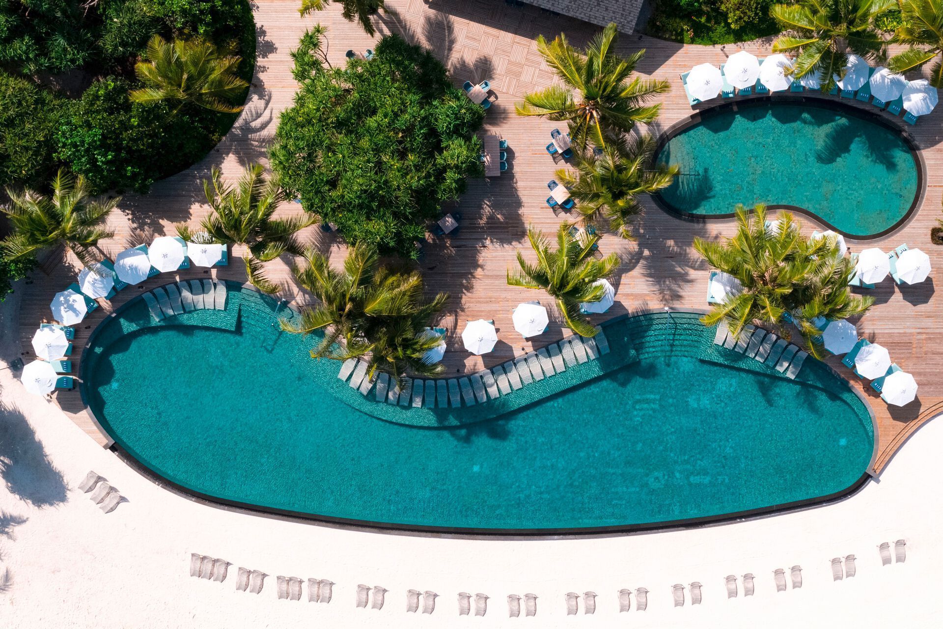 Pool von oben Luftaufnahme eines eleganten, nierenförmigen Swimmingpools in einem tropischen Resort umgeben von Sonnenschirmen, Liegestühlen und üppigem Grün mit angrenzendem weißen Sandstrand.