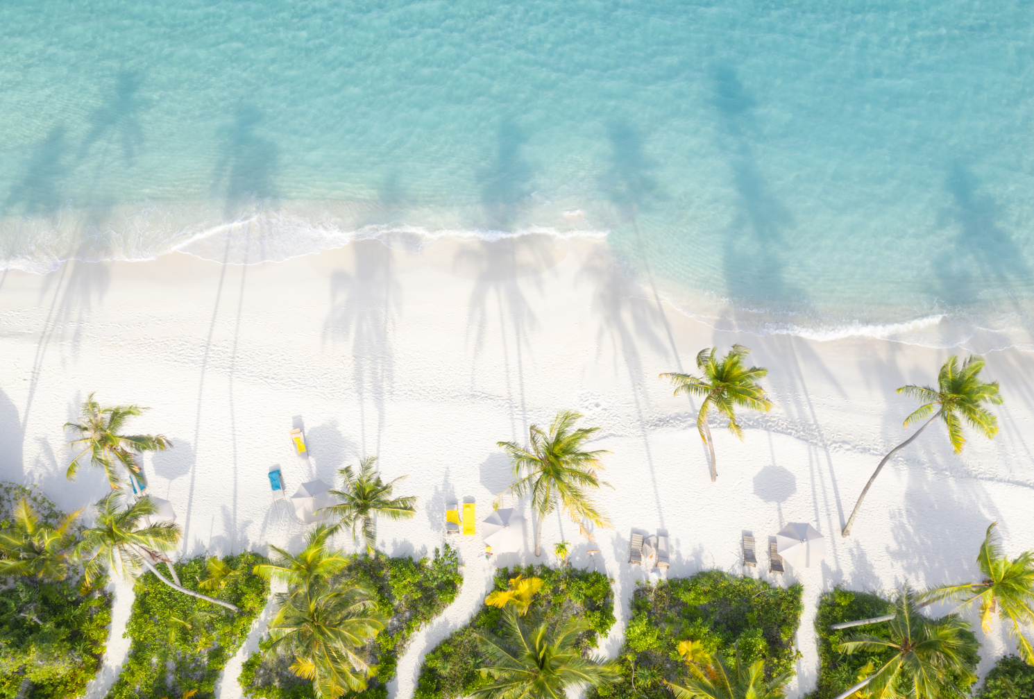 Palmenstrand Luftaufnahme einer tropischen Strandlandschaft mit klarem blauen Wasser, weißem Sand, üppigen Palmen und Sonnenliegen unter den Schatten der Palmen. Schatten der Palmen fallen auf den Sand, was einen malerischen und entspannenden Anblick bietet.