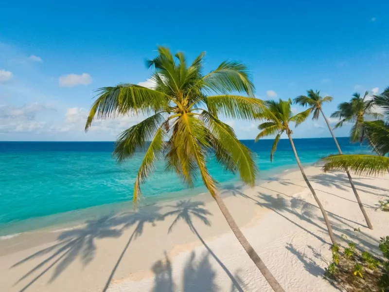 Milaidhoo Island, Malediven: milaidhoo_island-malediven-strand_palmen